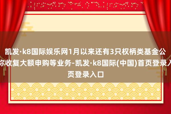 凯发·k8国际娱乐网1月以来还有3只权柄类基金公告称收复大额申购等业务-凯发·k8国际(中国)首页登录入口